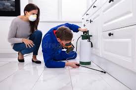 Best Indoor Pest Control  in Carson City, MI